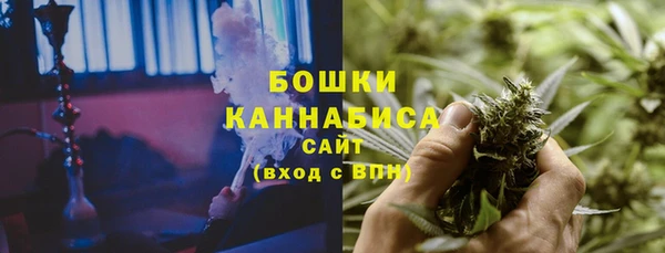 сатива Абинск