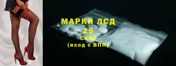 сатива Абинск
