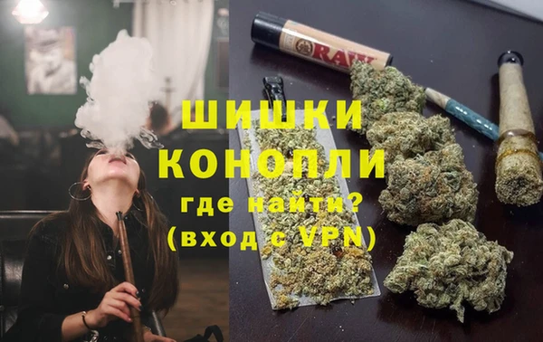 сатива Абинск