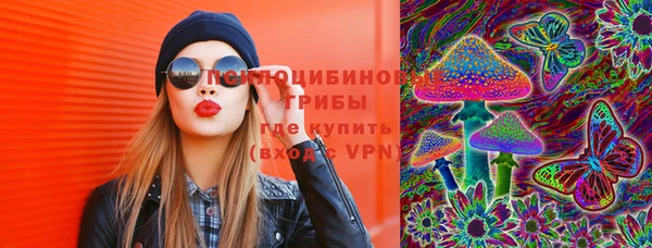 сатива Абинск