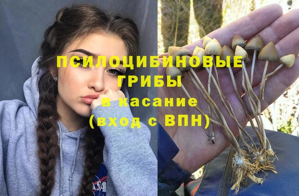 наркотики Абаза