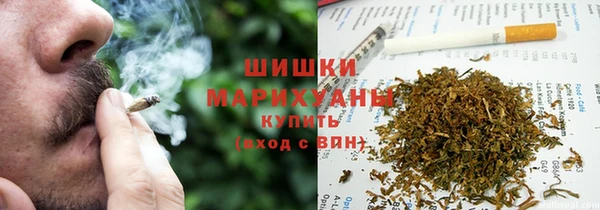 сатива Абинск